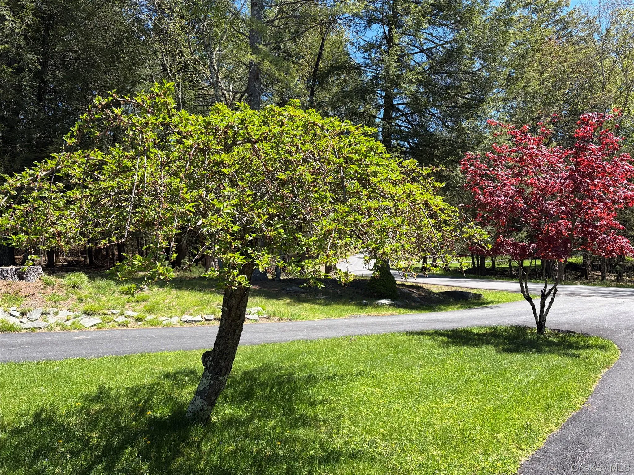94 Gina Lane, Bethel, NY, 3 Bedrooms Bedrooms, 7 Rooms Rooms,3 BathroomsBathrooms,Residential,For Rent,Gina,0,999364 94 Gina Lane, Bethel, NY, 3 Bedrooms Bedrooms, 7 Rooms Rooms,3 BathroomsBathrooms,Residential,For Rent,Gina,0,999364