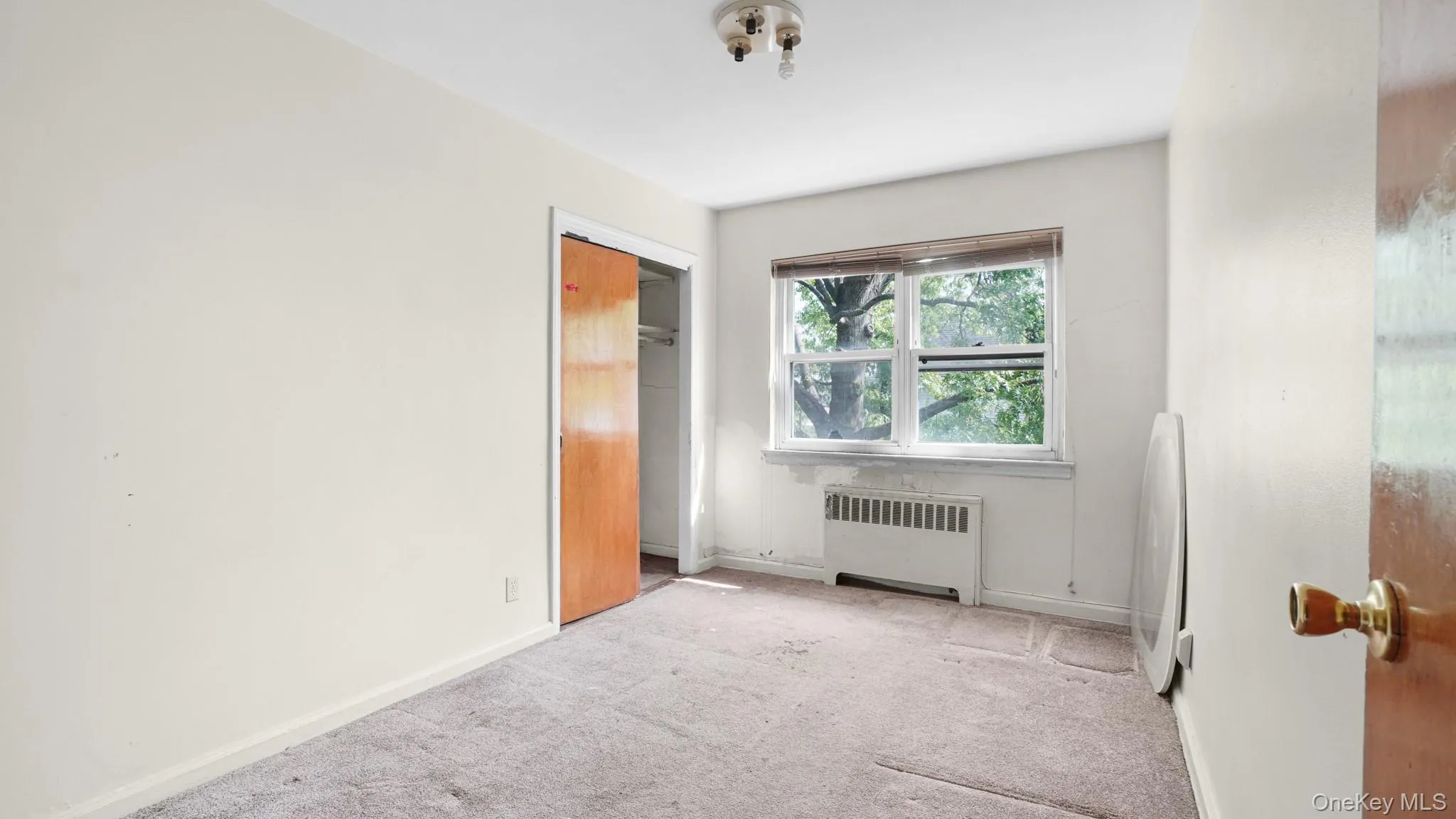 2436 Seymour Avenue, New York, NY, 4 Bedrooms Bedrooms, 8 Rooms Rooms,2 BathroomsBathrooms,Residential,For Rent,Seymour,0,999367 2436 Seymour Avenue, New York, NY, 4 Bedrooms Bedrooms, 8 Rooms Rooms,2 BathroomsBathrooms,Residential,For Rent,Seymour,0,999367