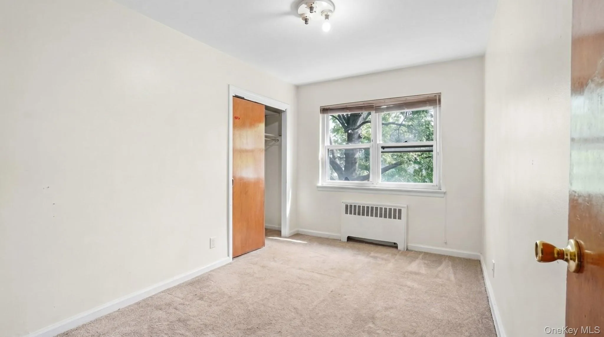 2436 Seymour Avenue, New York, NY, 4 Bedrooms Bedrooms, 8 Rooms Rooms,2 BathroomsBathrooms,Residential,For Rent,Seymour,0,999367 2436 Seymour Avenue, New York, NY, 4 Bedrooms Bedrooms, 8 Rooms Rooms,2 BathroomsBathrooms,Residential,For Rent,Seymour,0,999367