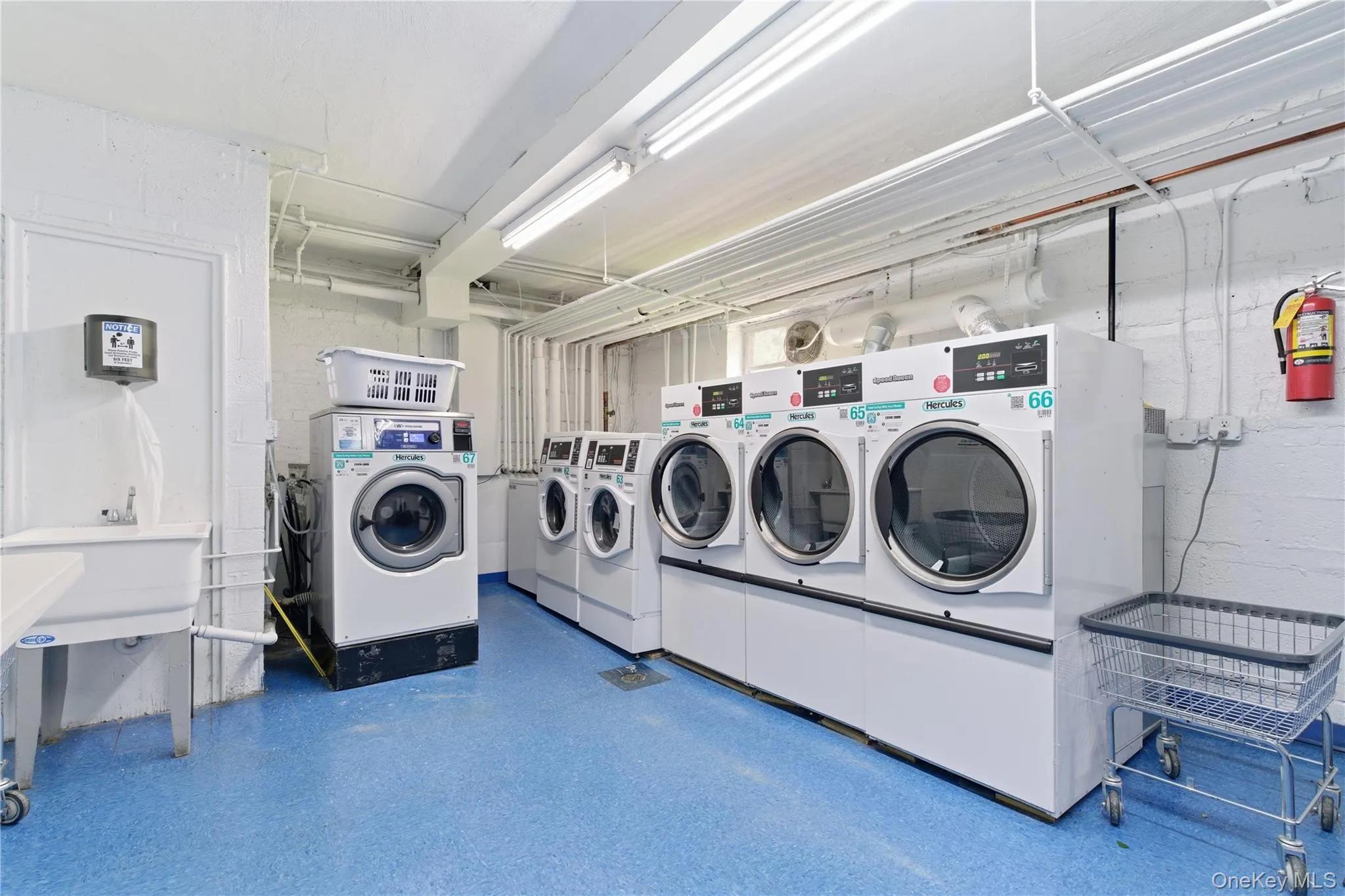 83 Edwards Street, North Hempstead, NY, 2 Bedrooms Bedrooms, 5 Rooms Rooms,1 BathroomBathrooms,Residential,For Rent,Edwards,0,999371 83 Edwards Street, North Hempstead, NY, 2 Bedrooms Bedrooms, 5 Rooms Rooms,1 BathroomBathrooms,Residential,For Rent,Edwards,0,999371
