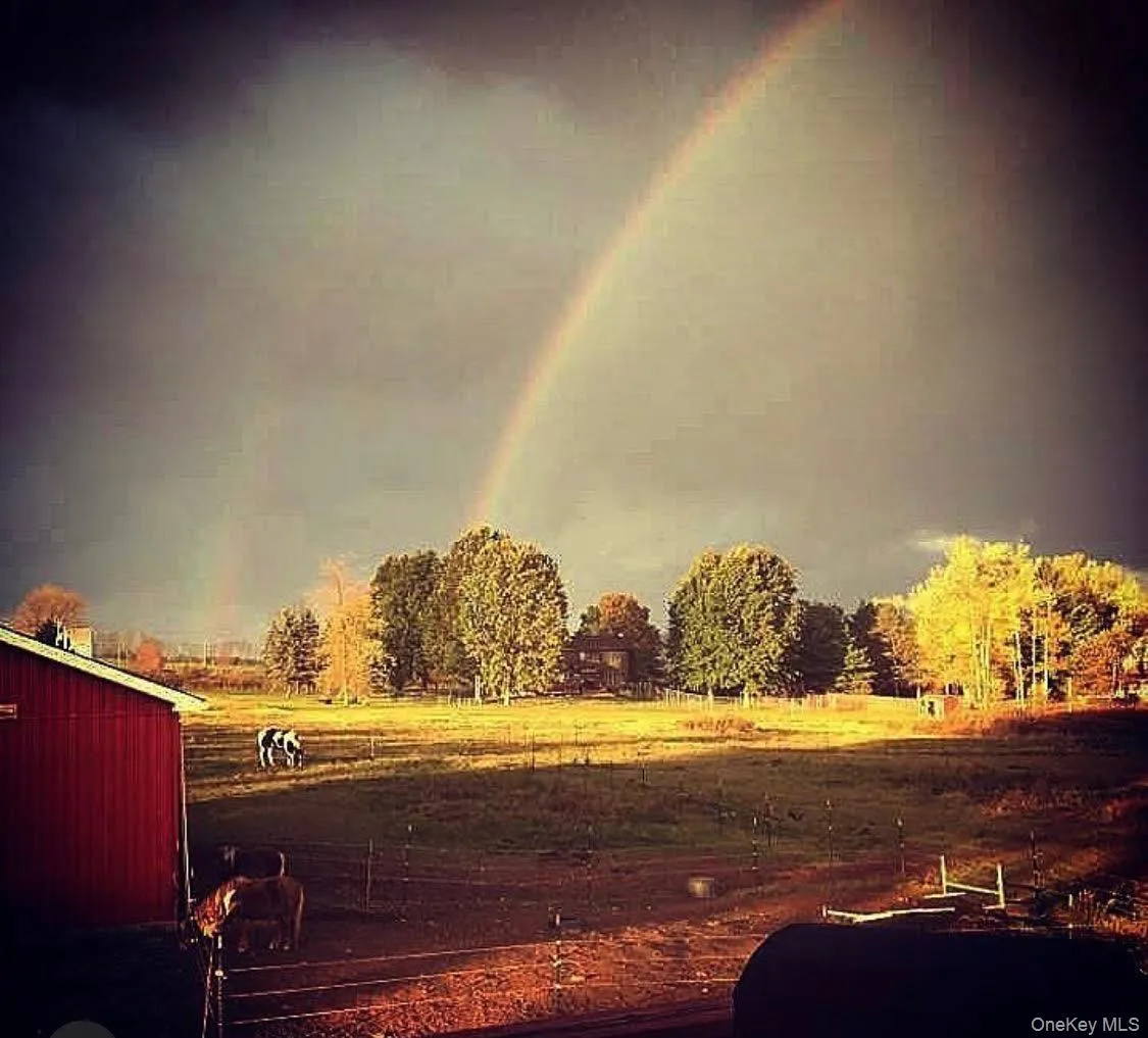519 County Route 164, Delaware, NY, 4 Bedrooms Bedrooms, 6 Rooms Rooms,2 BathroomsBathrooms,Residential,For Rent,County Route 164,0,999372 519 County Route 164, Delaware, NY, 4 Bedrooms Bedrooms, 6 Rooms Rooms,2 BathroomsBathrooms,Residential,For Rent,County Route 164,0,999372