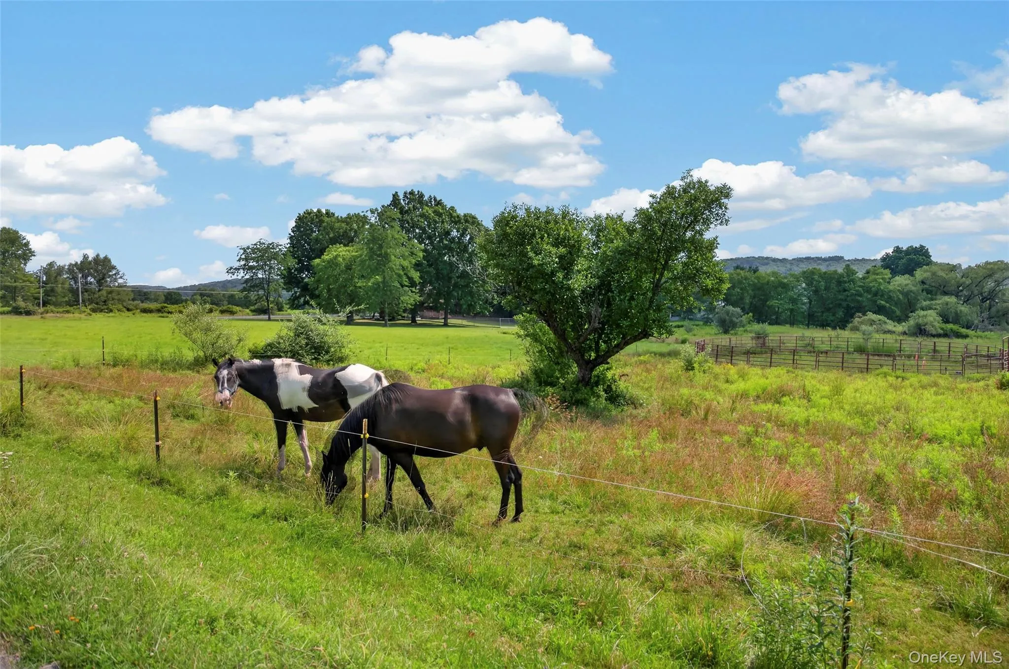 519 County Route 164, Delaware, NY, 4 Bedrooms Bedrooms, 6 Rooms Rooms,2 BathroomsBathrooms,Residential,For Rent,County Route 164,0,999372 519 County Route 164, Delaware, NY, 4 Bedrooms Bedrooms, 6 Rooms Rooms,2 BathroomsBathrooms,Residential,For Rent,County Route 164,0,999372