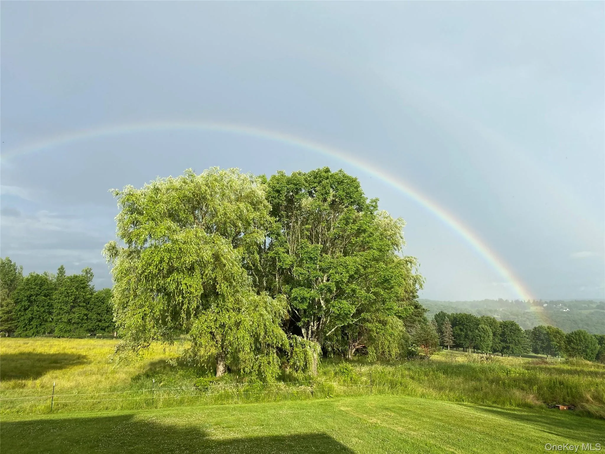 519 County Route 164, Delaware, NY, 4 Bedrooms Bedrooms, 6 Rooms Rooms,2 BathroomsBathrooms,Residential,For Rent,County Route 164,0,999372 519 County Route 164, Delaware, NY, 4 Bedrooms Bedrooms, 6 Rooms Rooms,2 BathroomsBathrooms,Residential,For Rent,County Route 164,0,999372