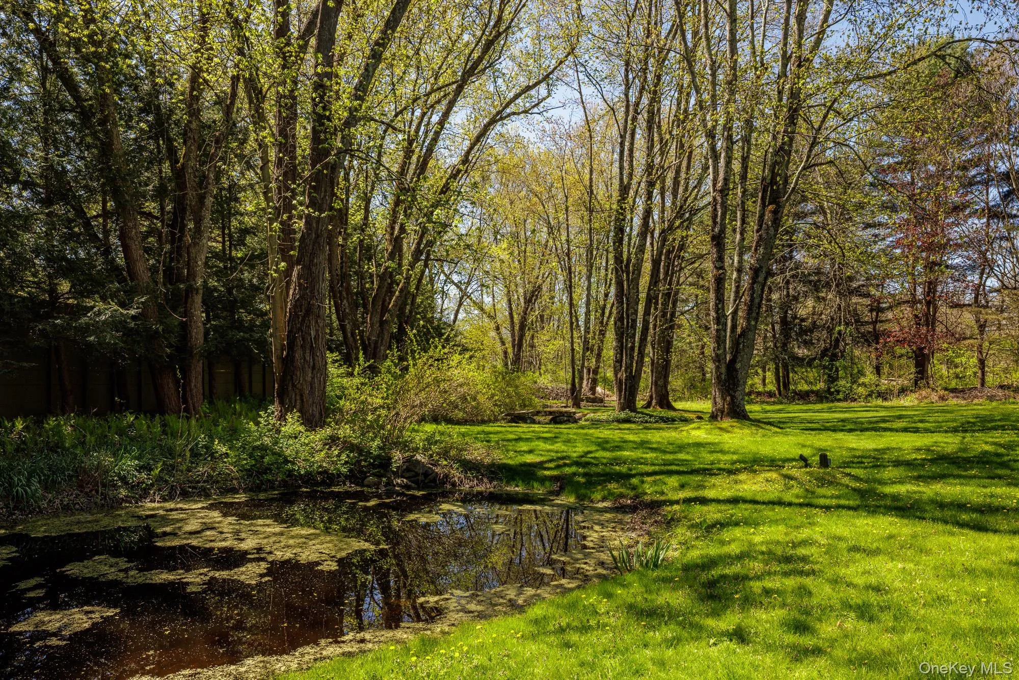 2461 Salt Point Turnpike, Clinton, NY, 4 Bedrooms Bedrooms, 11 Rooms Rooms,4 BathroomsBathrooms,Residential,For Rent,Salt Point,0,999386 2461 Salt Point Turnpike, Clinton, NY, 4 Bedrooms Bedrooms, 11 Rooms Rooms,4 BathroomsBathrooms,Residential,For Rent,Salt Point,0,999386