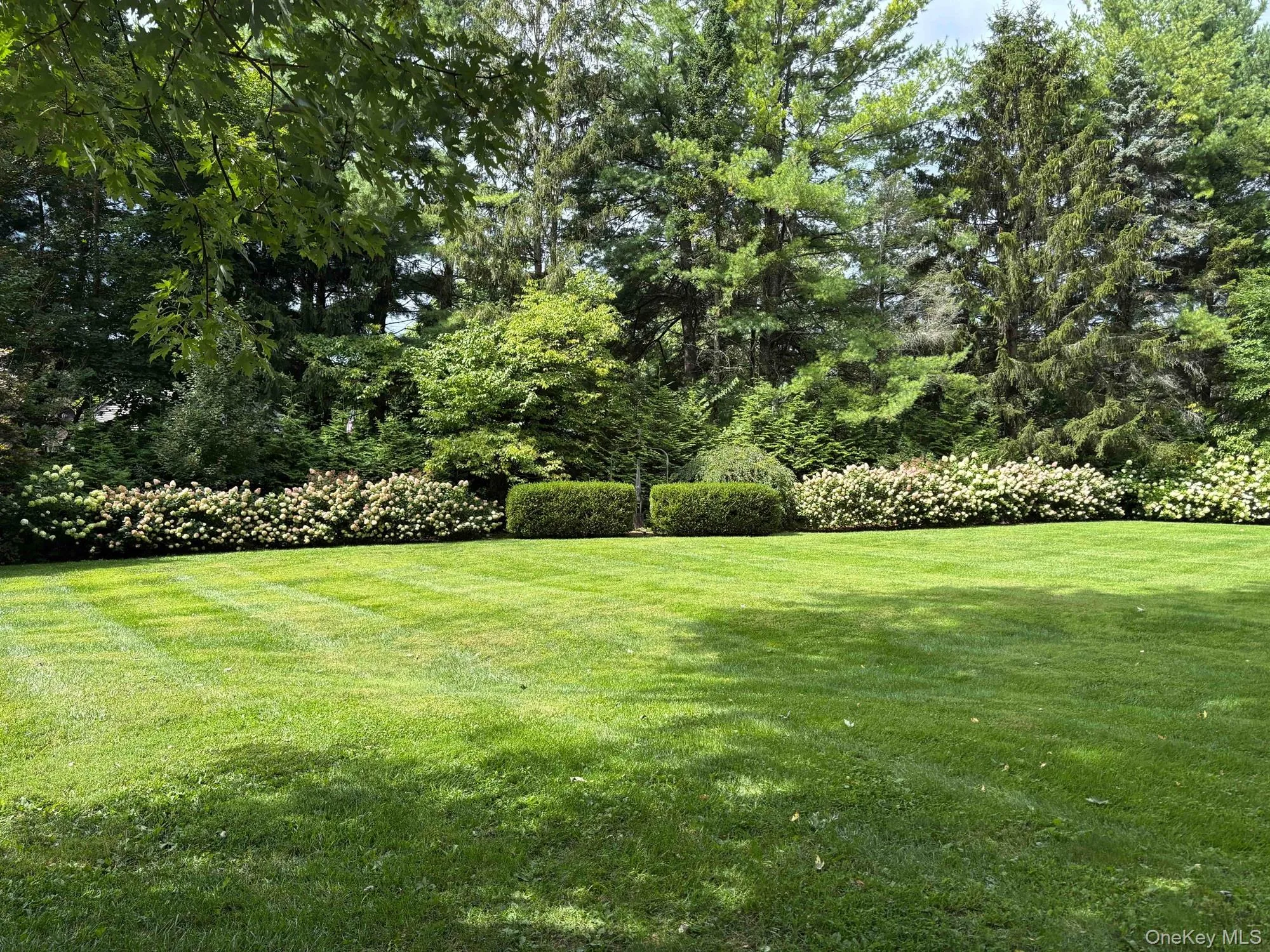 2461 Salt Point Turnpike, Clinton, NY, 4 Bedrooms Bedrooms, 11 Rooms Rooms,4 BathroomsBathrooms,Residential,For Rent,Salt Point,0,999386 2461 Salt Point Turnpike, Clinton, NY, 4 Bedrooms Bedrooms, 11 Rooms Rooms,4 BathroomsBathrooms,Residential,For Rent,Salt Point,0,999386