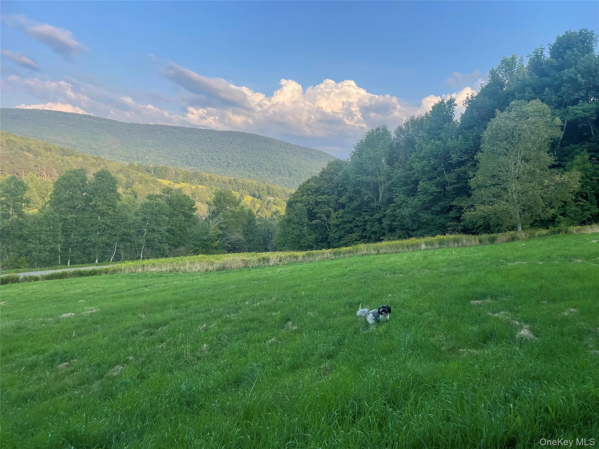 629 New Kingston Road, Middletown, NY, 3 Bedrooms Bedrooms, 5 Rooms Rooms,2 BathroomsBathrooms,Residential,For Rent,New Kingston,0,999419 629 New Kingston Road, Middletown, NY, 3 Bedrooms Bedrooms, 5 Rooms Rooms,2 BathroomsBathrooms,Residential,For Rent,New Kingston,0,999419