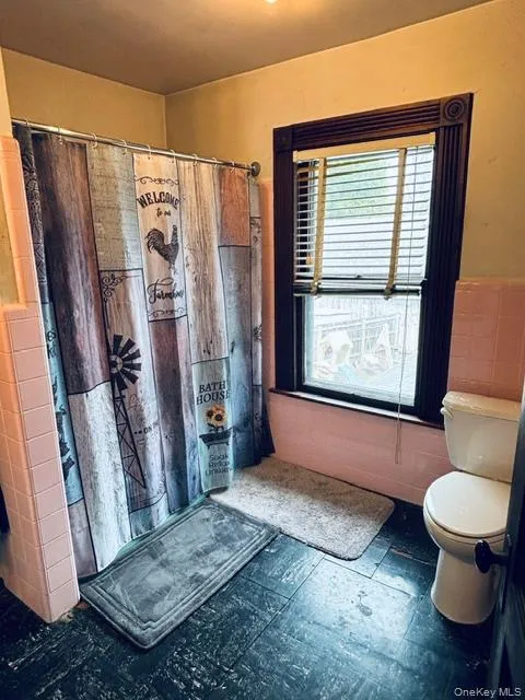 7786 Main Street, Pine Plains, NY, 4 Bedrooms Bedrooms, 9 Rooms Rooms,1 BathroomBathrooms,Residential,For Rent,Main,0,999436 7786 Main Street, Pine Plains, NY, 4 Bedrooms Bedrooms, 9 Rooms Rooms,1 BathroomBathrooms,Residential,For Rent,Main,0,999436