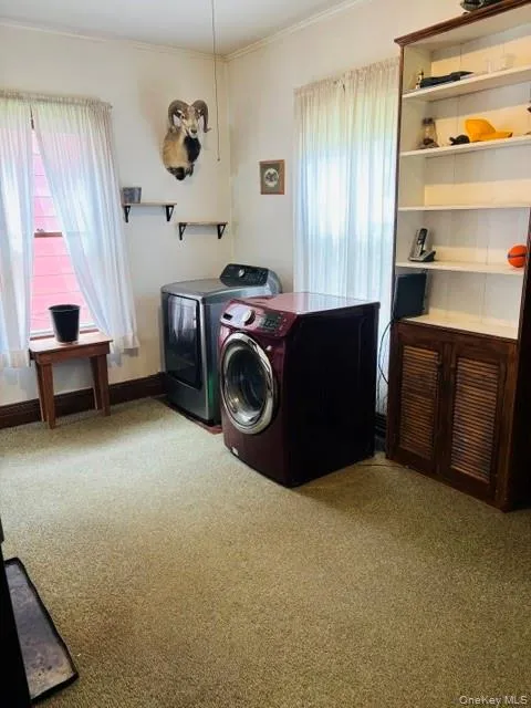 7786 Main Street, Pine Plains, NY, 4 Bedrooms Bedrooms, 9 Rooms Rooms,1 BathroomBathrooms,Residential,For Rent,Main,0,999436 7786 Main Street, Pine Plains, NY, 4 Bedrooms Bedrooms, 9 Rooms Rooms,1 BathroomBathrooms,Residential,For Rent,Main,0,999436
