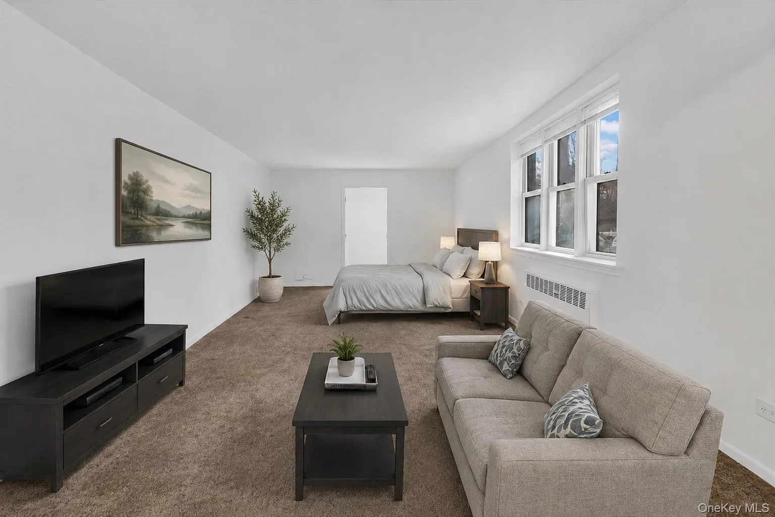 Virtually Staged Living Room & Shared Bedroom Area Virtually Staged Living Room & Shared Bedroom Area