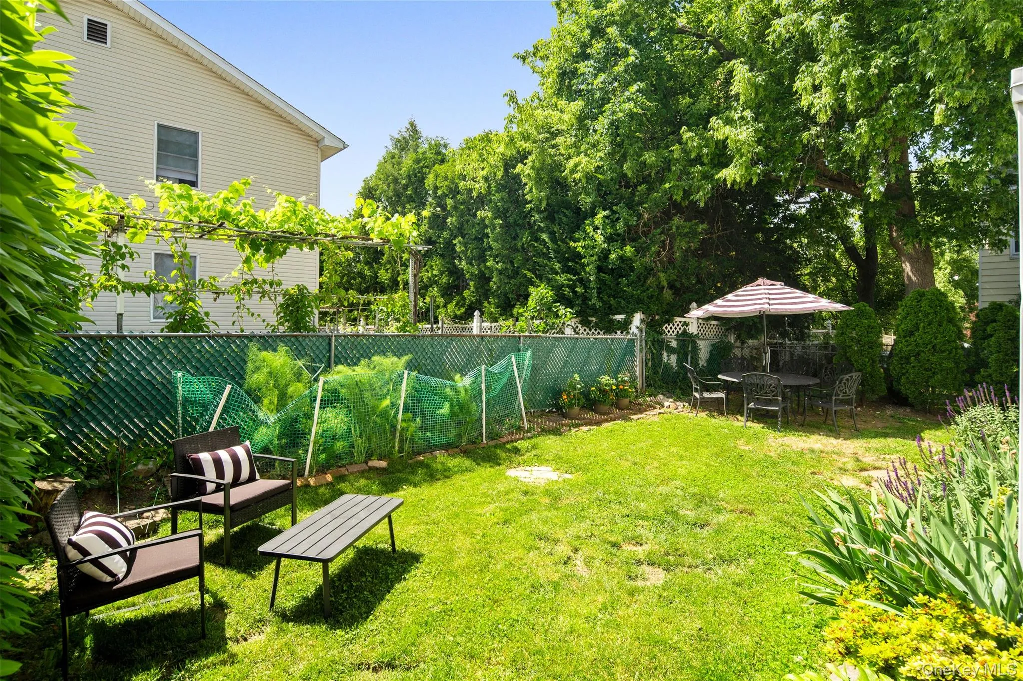 11 Devoe Street, Greenburgh, NY, 3 Bedrooms Bedrooms, 8 Rooms Rooms,3 BathroomsBathrooms,Residential,For Rent,Devoe,0,999464 11 Devoe Street, Greenburgh, NY, 3 Bedrooms Bedrooms, 8 Rooms Rooms,3 BathroomsBathrooms,Residential,For Rent,Devoe,0,999464