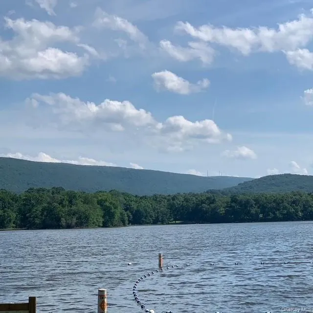 There are two eagles often seen on the lake. There are two eagles often seen on the lake.