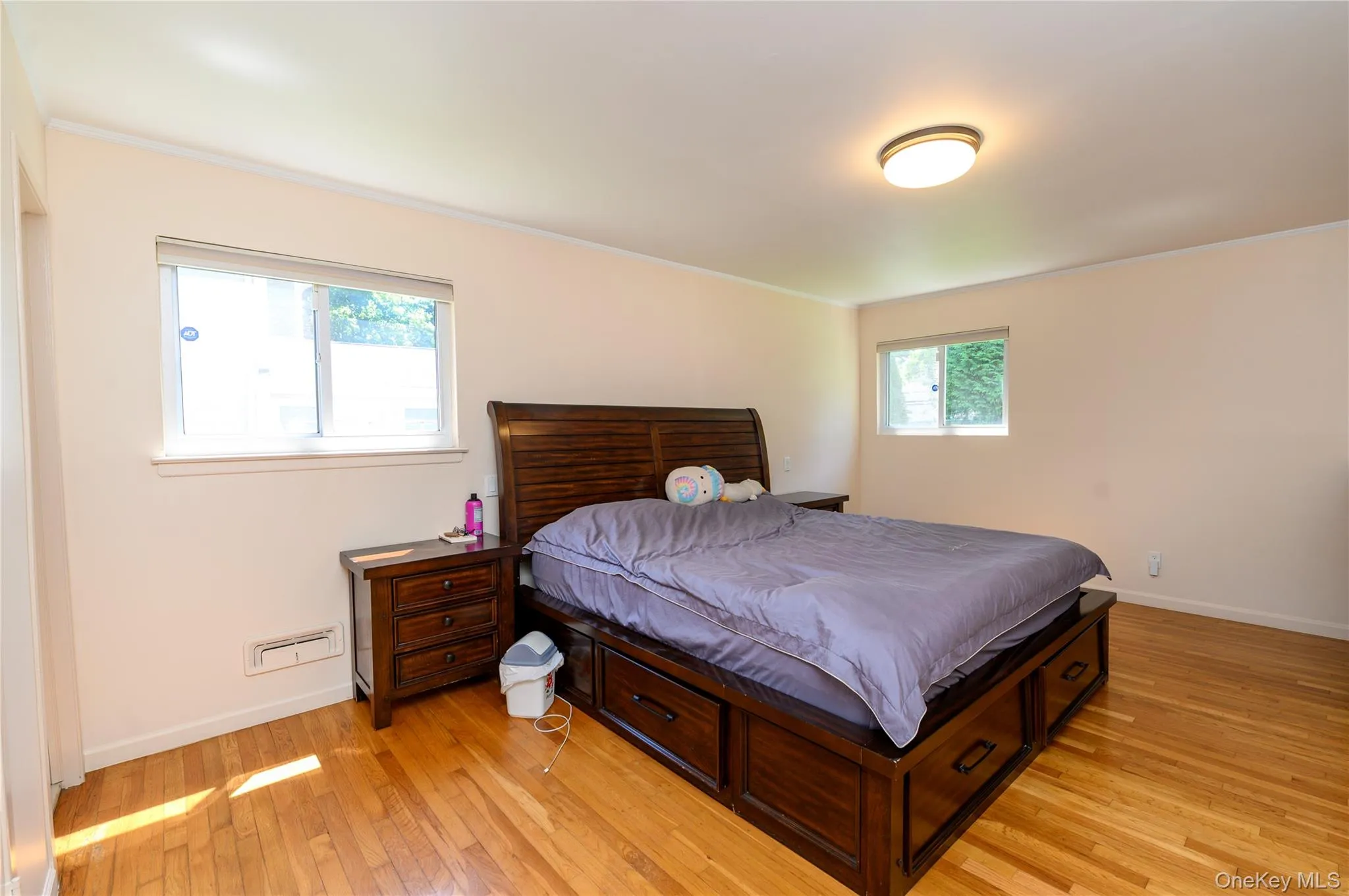 54 Ivy Drive, Oyster Bay, NY, 6 Bedrooms Bedrooms, 6 Rooms Rooms,3 BathroomsBathrooms,Residential,For Rent,Ivy,0,999545 54 Ivy Drive, Oyster Bay, NY, 6 Bedrooms Bedrooms, 6 Rooms Rooms,3 BathroomsBathrooms,Residential,For Rent,Ivy,0,999545