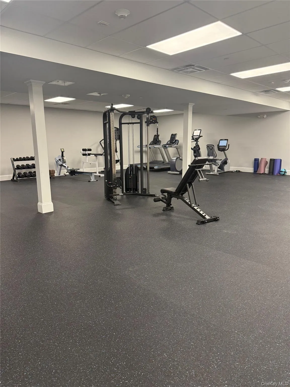 Gym Gym