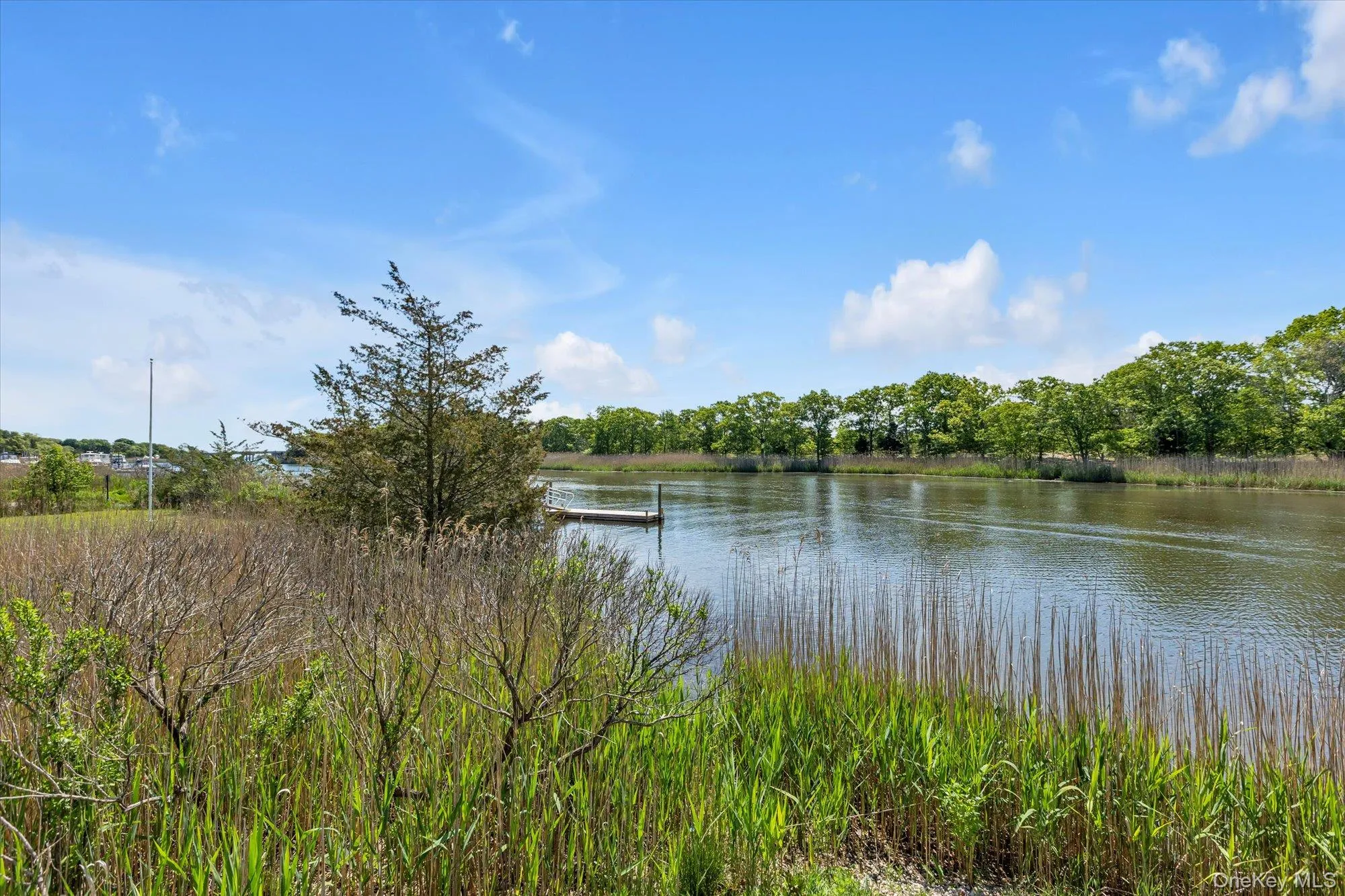 37 Corwell Avenue, Riverhead, NY, ,Land,For Rent,Corwell,0,999574 37 Corwell Avenue, Riverhead, NY, ,Land,For Rent,Corwell,0,999574