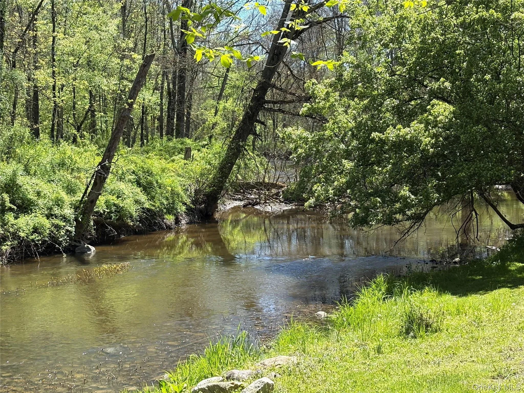 Tranquility found in your own 21 acres! Tranquility found in your own 21 acres!