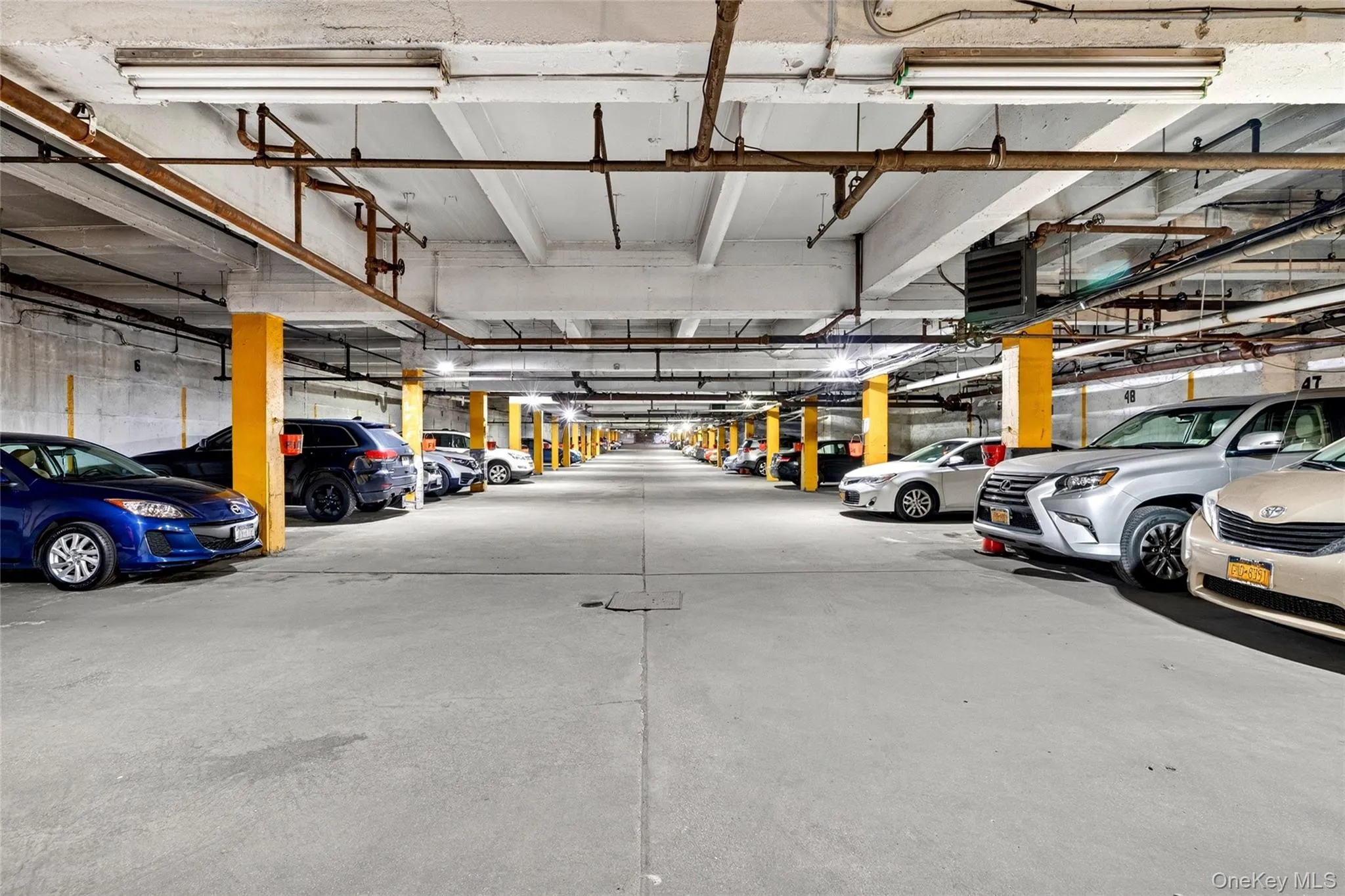 3535 Kings College Place, New York, NY, 2 Bedrooms Bedrooms, 4 Rooms Rooms,1 BathroomBathrooms,Residential,For Rent,Kings College,0,999580 3535 Kings College Place, New York, NY, 2 Bedrooms Bedrooms, 4 Rooms Rooms,1 BathroomBathrooms,Residential,For Rent,Kings College,0,999580
