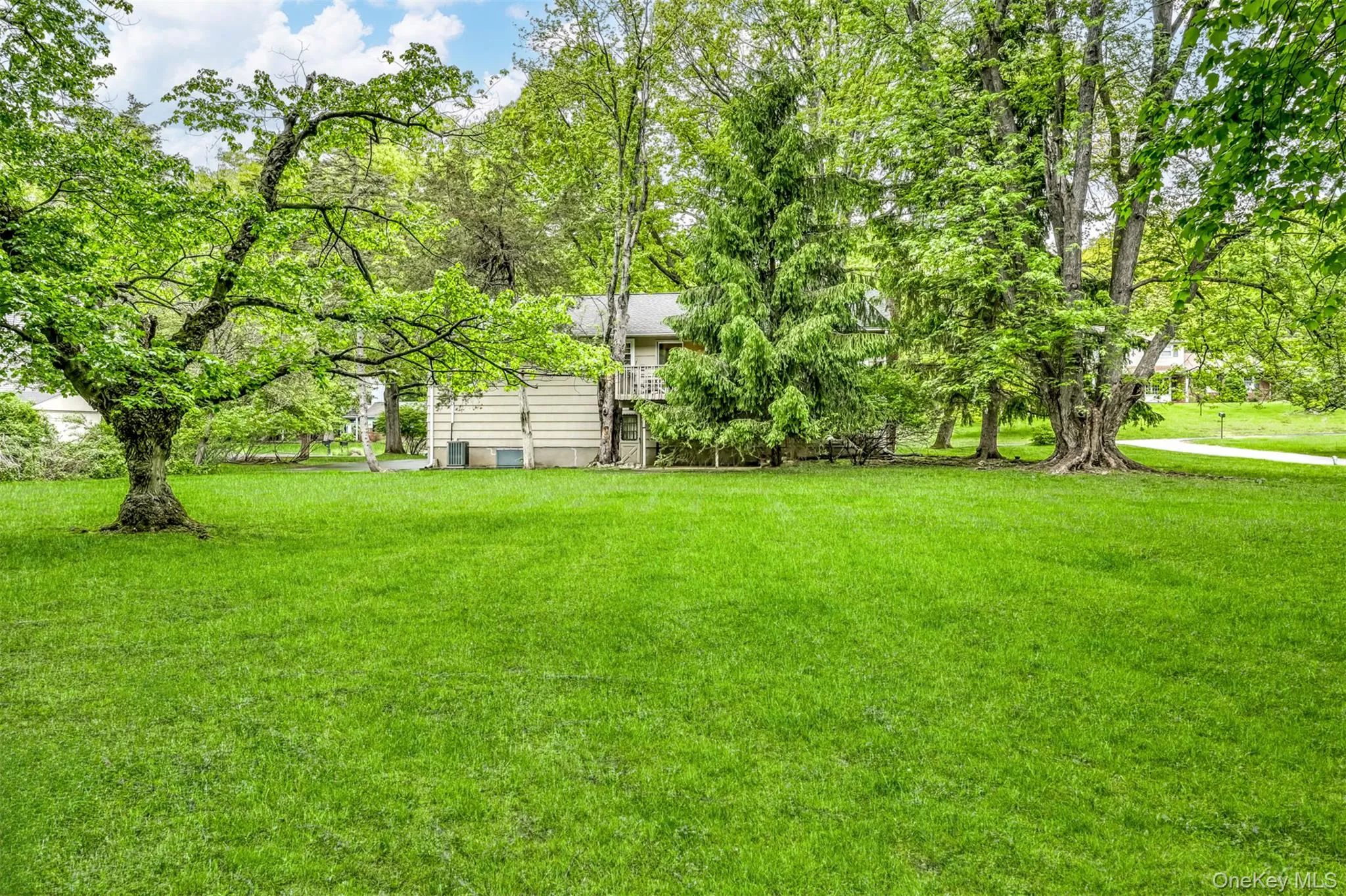 32 Charlotte Drive, Ramapo, NY, 4 Bedrooms Bedrooms, 8 Rooms Rooms,2 BathroomsBathrooms,Residential,For Rent,Charlotte,0,999607 32 Charlotte Drive, Ramapo, NY, 4 Bedrooms Bedrooms, 8 Rooms Rooms,2 BathroomsBathrooms,Residential,For Rent,Charlotte,0,999607