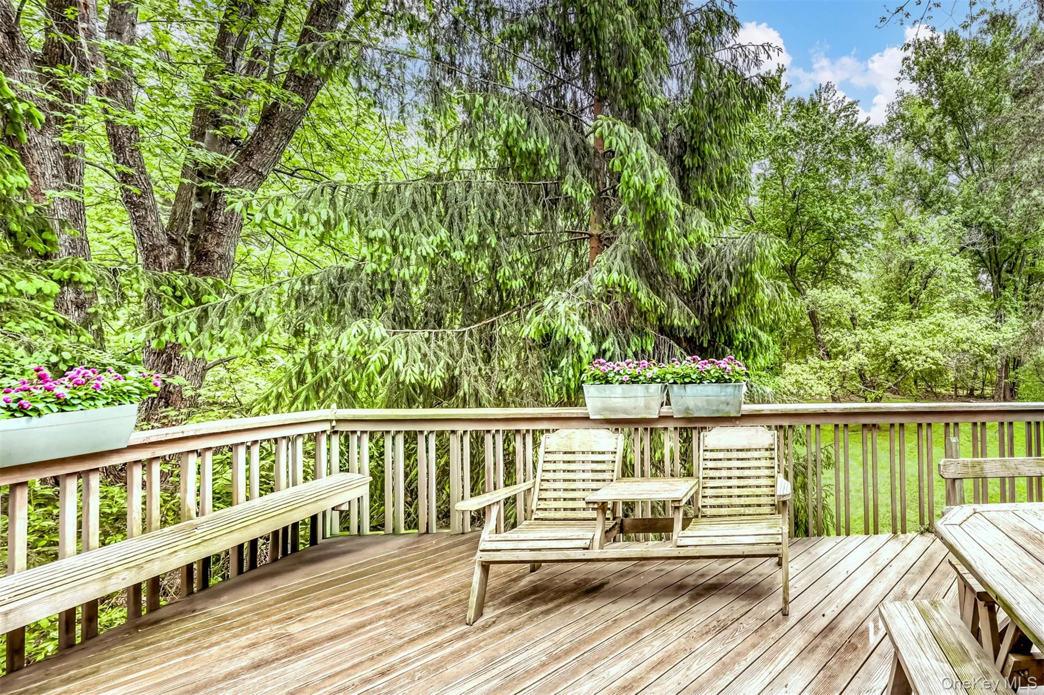 32 Charlotte Drive, Ramapo, NY, 4 Bedrooms Bedrooms, 8 Rooms Rooms,2 BathroomsBathrooms,Residential,For Rent,Charlotte,0,999607 32 Charlotte Drive, Ramapo, NY, 4 Bedrooms Bedrooms, 8 Rooms Rooms,2 BathroomsBathrooms,Residential,For Rent,Charlotte,0,999607