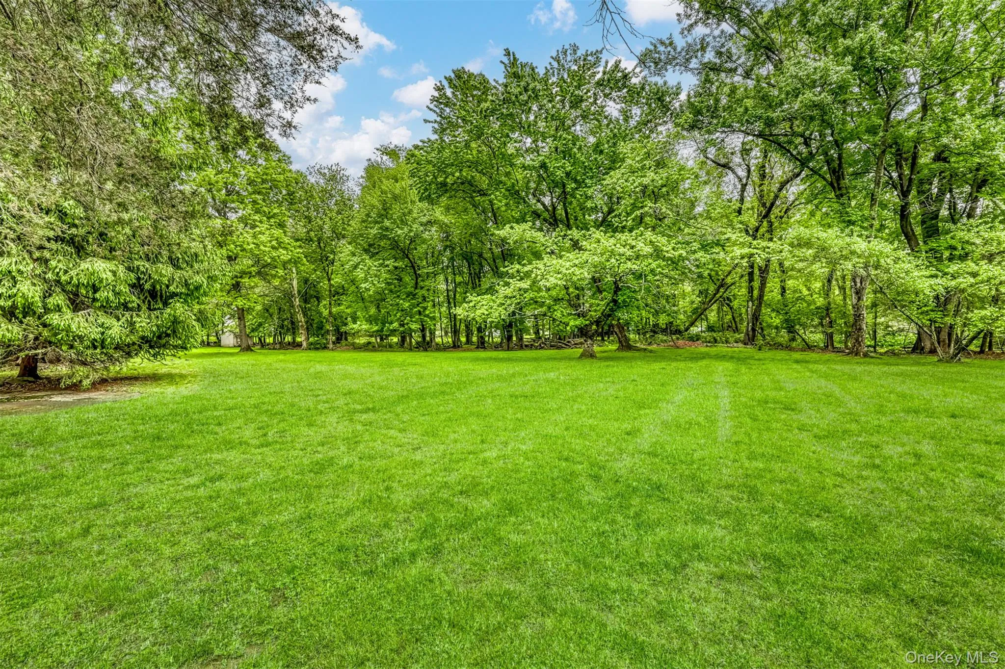 32 Charlotte Drive, Ramapo, NY, 4 Bedrooms Bedrooms, 8 Rooms Rooms,2 BathroomsBathrooms,Residential,For Rent,Charlotte,0,999607 32 Charlotte Drive, Ramapo, NY, 4 Bedrooms Bedrooms, 8 Rooms Rooms,2 BathroomsBathrooms,Residential,For Rent,Charlotte,0,999607