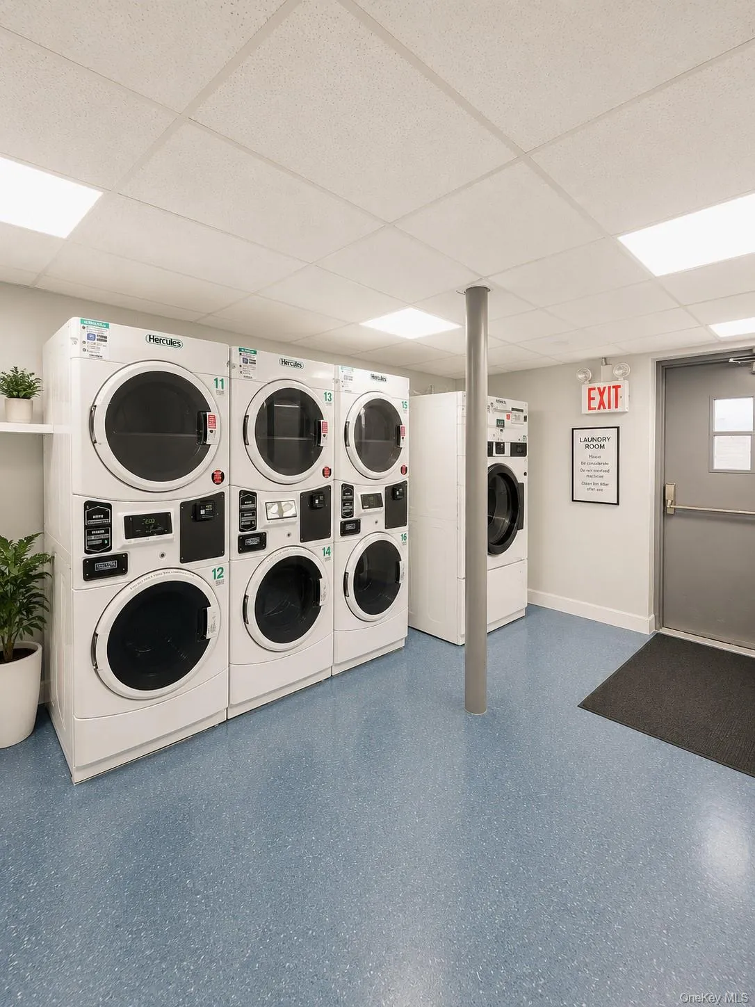 6615 Wetherole Street, New York, NY, 2 Bedrooms Bedrooms, 5 Rooms Rooms,1 BathroomBathrooms,Residential Sale,For Rent,Wetherole,0,999610 6615 Wetherole Street, New York, NY, 2 Bedrooms Bedrooms, 5 Rooms Rooms,1 BathroomBathrooms,Residential Sale,For Rent,Wetherole,0,999610