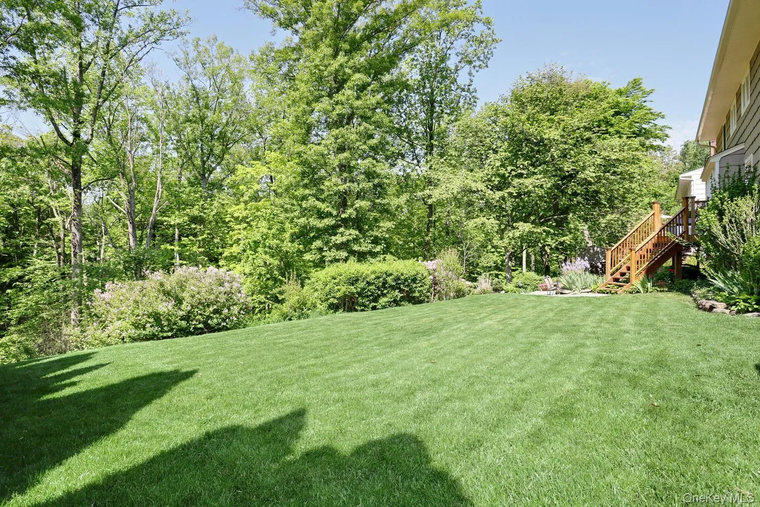 245 Central Avenue, Orangetown, NY, 4 Bedrooms Bedrooms, 10 Rooms Rooms,2 BathroomsBathrooms,Residential,For Rent,Central,0,999611 245 Central Avenue, Orangetown, NY, 4 Bedrooms Bedrooms, 10 Rooms Rooms,2 BathroomsBathrooms,Residential,For Rent,Central,0,999611