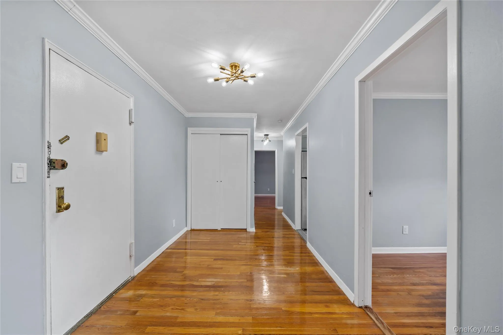 Entryway featuring wood-finish flooring, light blue walls, white crown molding, and a contemporary ceiling fixture Entryway featuring wood-finish flooring, light blue walls, white crown molding, and a contemporary ceiling fixture