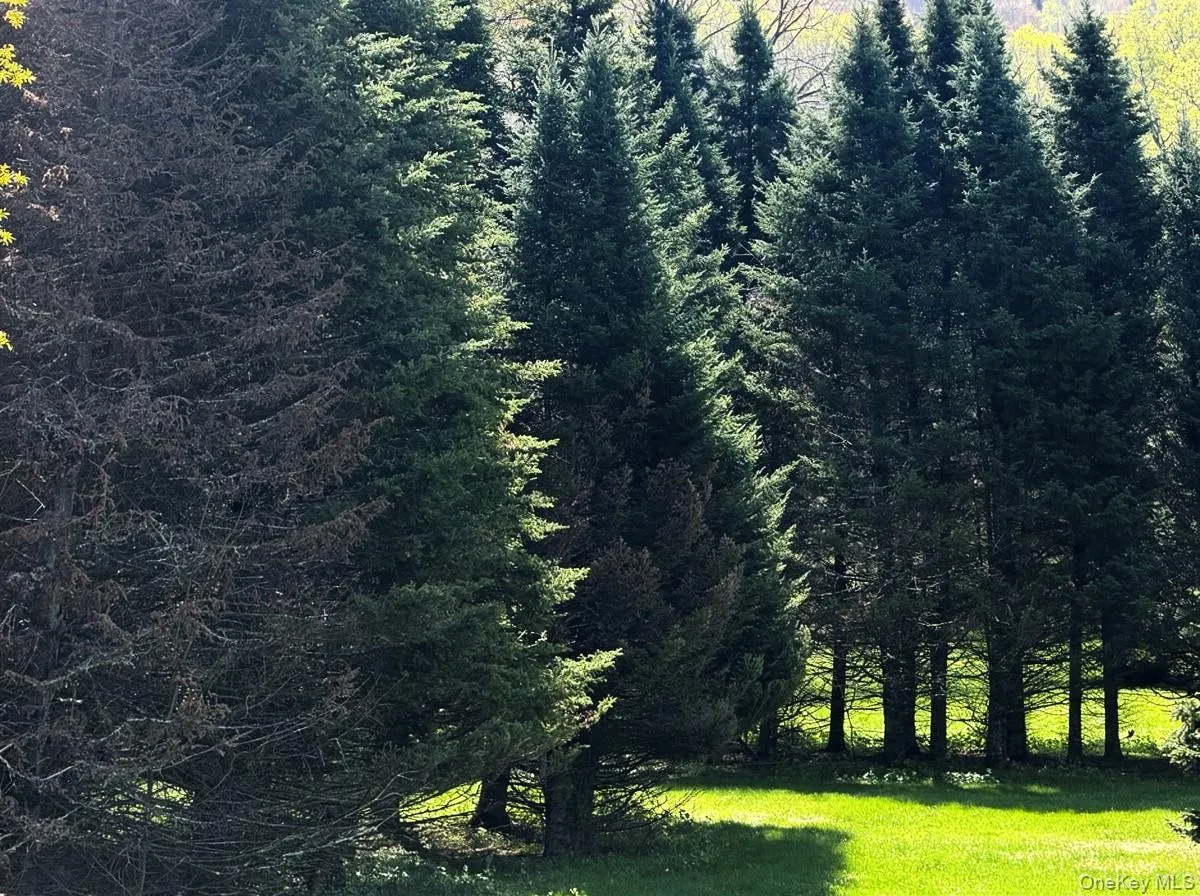 4109 State Route 52, Callicoon, NY, 5 Bedrooms Bedrooms, 9 Rooms Rooms,2 BathroomsBathrooms,Residential,For Rent,State Route 52,0,999668 4109 State Route 52, Callicoon, NY, 5 Bedrooms Bedrooms, 9 Rooms Rooms,2 BathroomsBathrooms,Residential,For Rent,State Route 52,0,999668