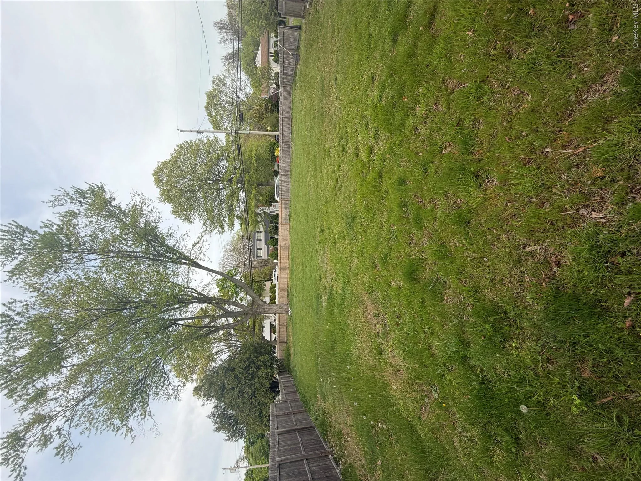 Side yard Side yard