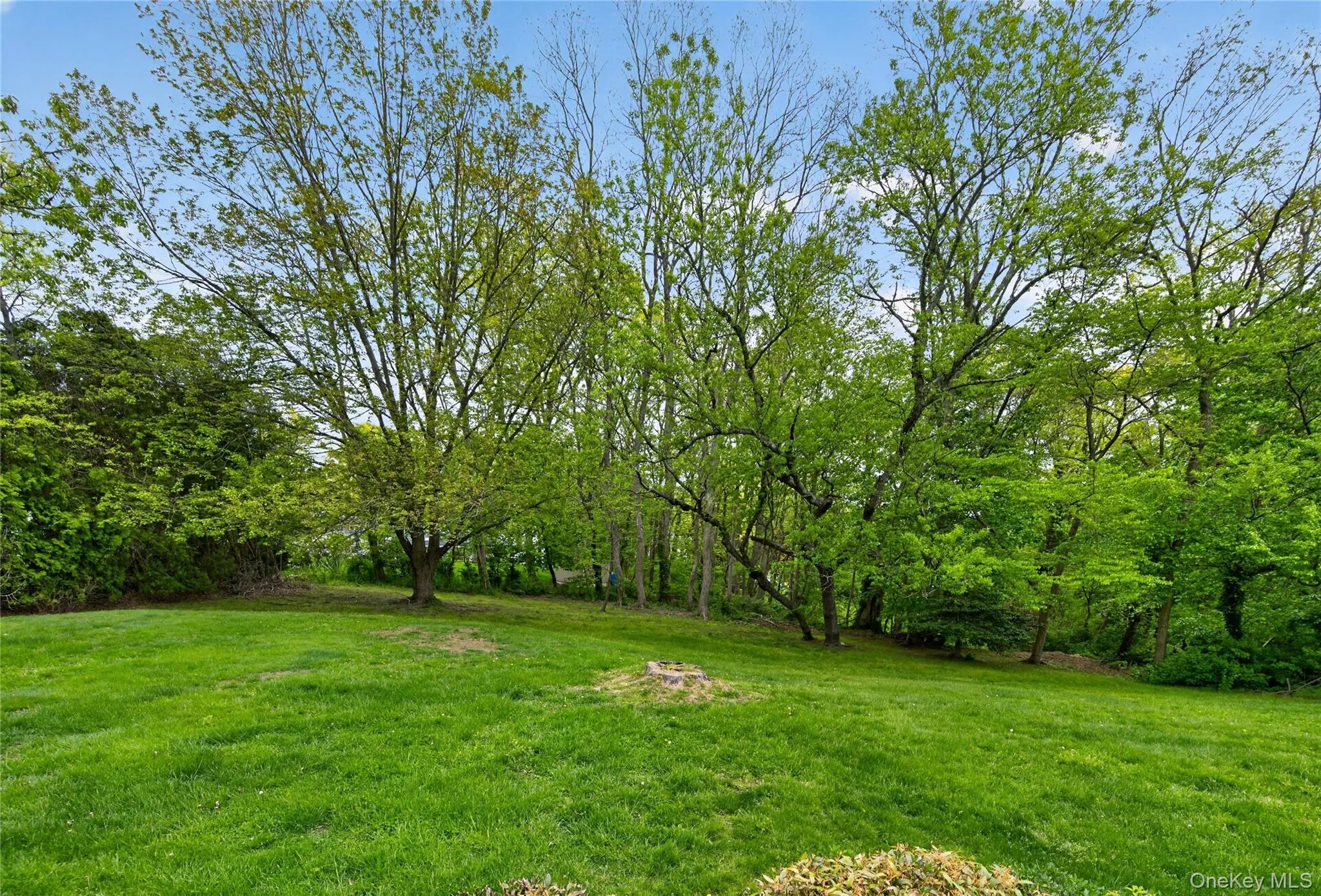 Private Outdoor Oasis Private Outdoor Oasis