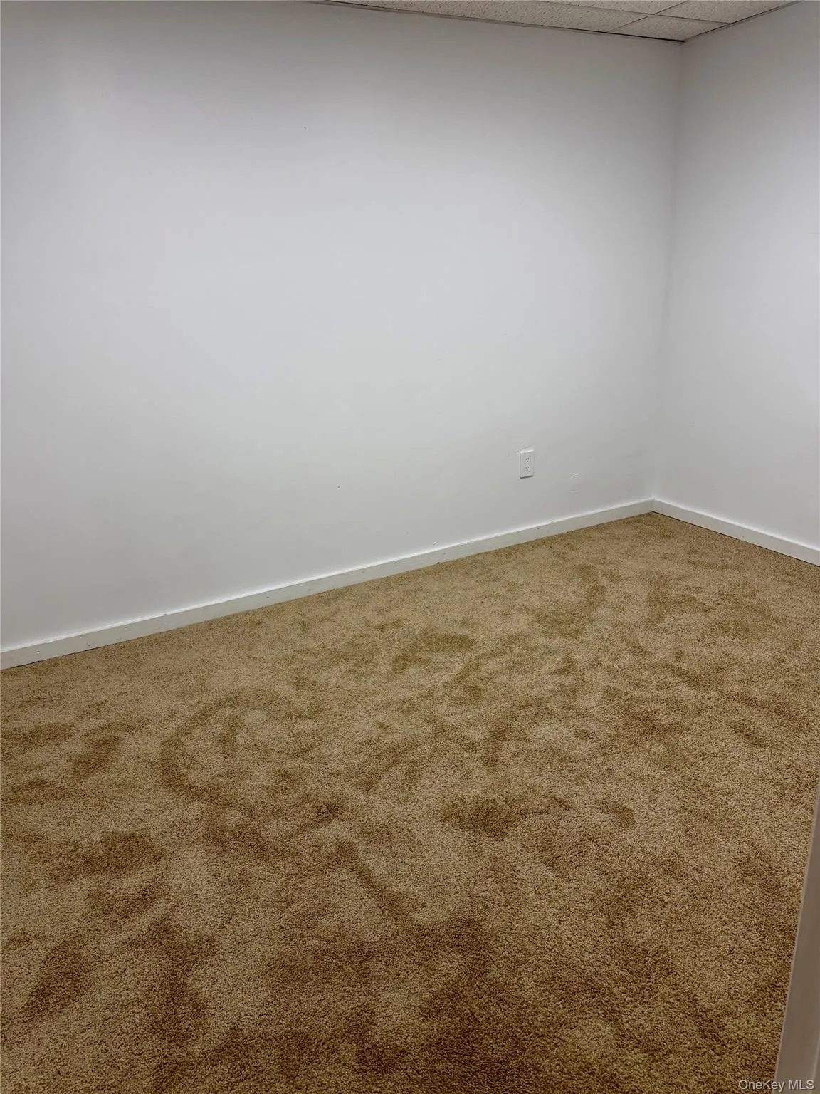 18 Cambridge Drive, Red Hook, NY, 3 Bedrooms Bedrooms, 7 Rooms Rooms,1 BathroomBathrooms,Residential Lease,For Rent,Cambridge,0,999748 18 Cambridge Drive, Red Hook, NY, 3 Bedrooms Bedrooms, 7 Rooms Rooms,1 BathroomBathrooms,Residential Lease,For Rent,Cambridge,0,999748