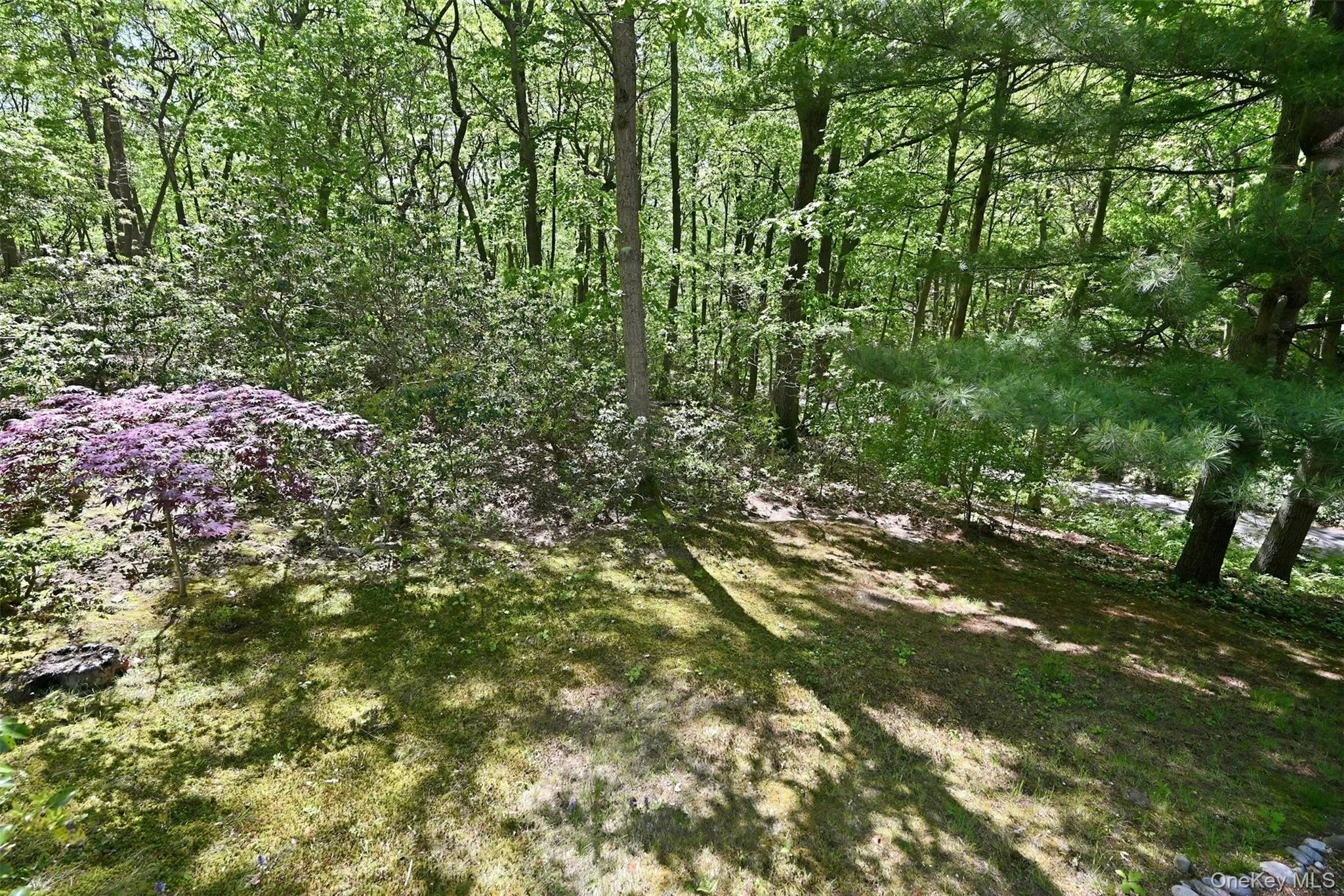 40 Laurel Hill Road, Huntington, NY, 3 Bedrooms Bedrooms, 7 Rooms Rooms,2 BathroomsBathrooms,Residential,For Rent,Laurel Hill,0,999766 40 Laurel Hill Road, Huntington, NY, 3 Bedrooms Bedrooms, 7 Rooms Rooms,2 BathroomsBathrooms,Residential,For Rent,Laurel Hill,0,999766