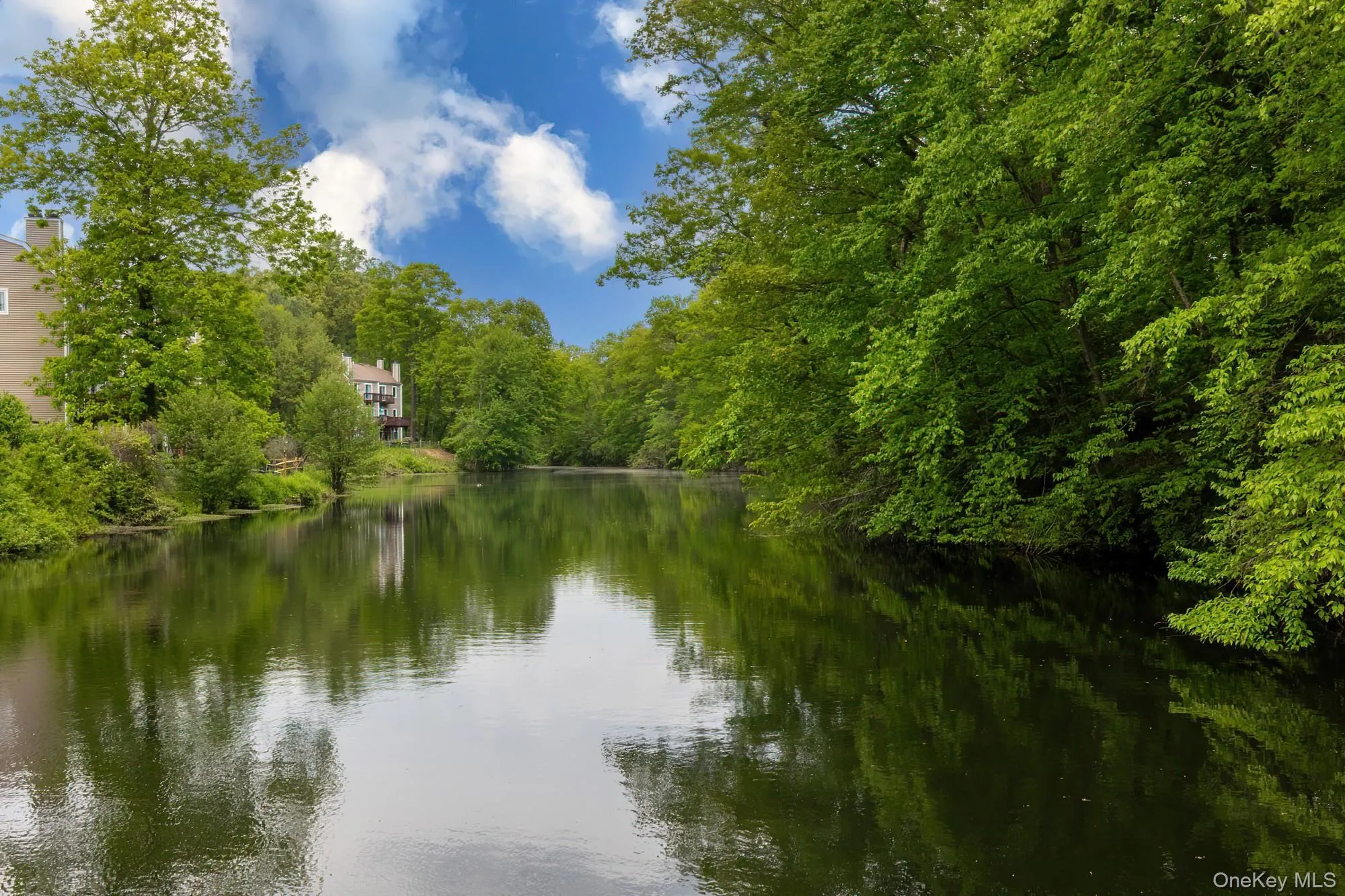 Spring Pond Spring Pond