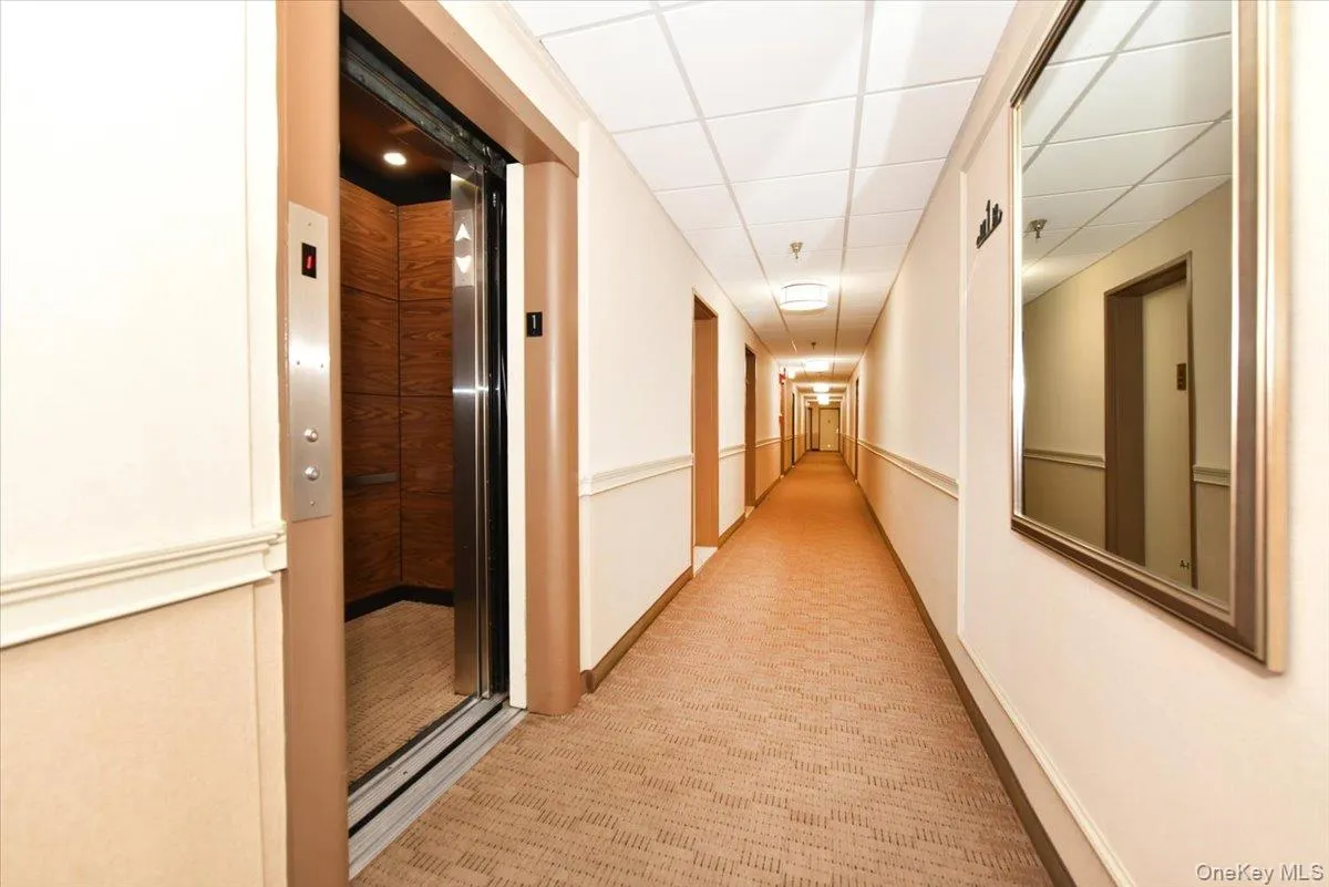 ELEVATOR ELEVATOR