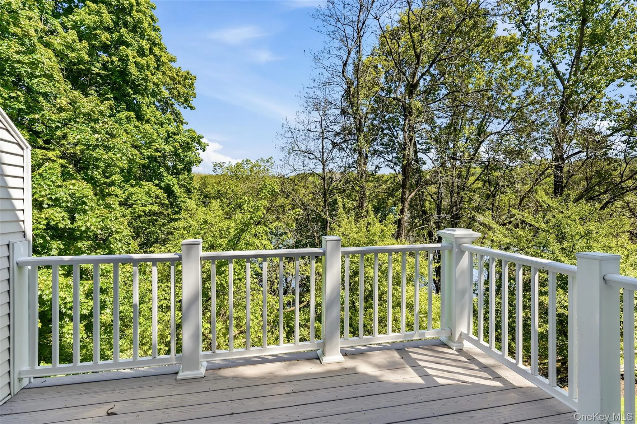 Redone Trex deck with lake views Redone Trex deck with lake views