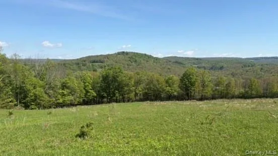 52 Hill Road, Liberty, NY, ,Land,For Rent,Hill,0,999834 52 Hill Road, Liberty, NY, ,Land,For Rent,Hill,0,999834