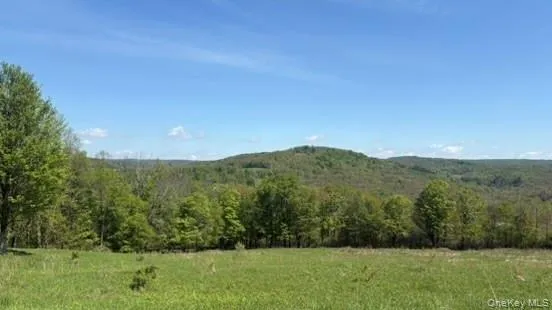 52 Hill Road, Liberty, NY, ,Land,For Rent,Hill,0,999834 52 Hill Road, Liberty, NY, ,Land,For Rent,Hill,0,999834