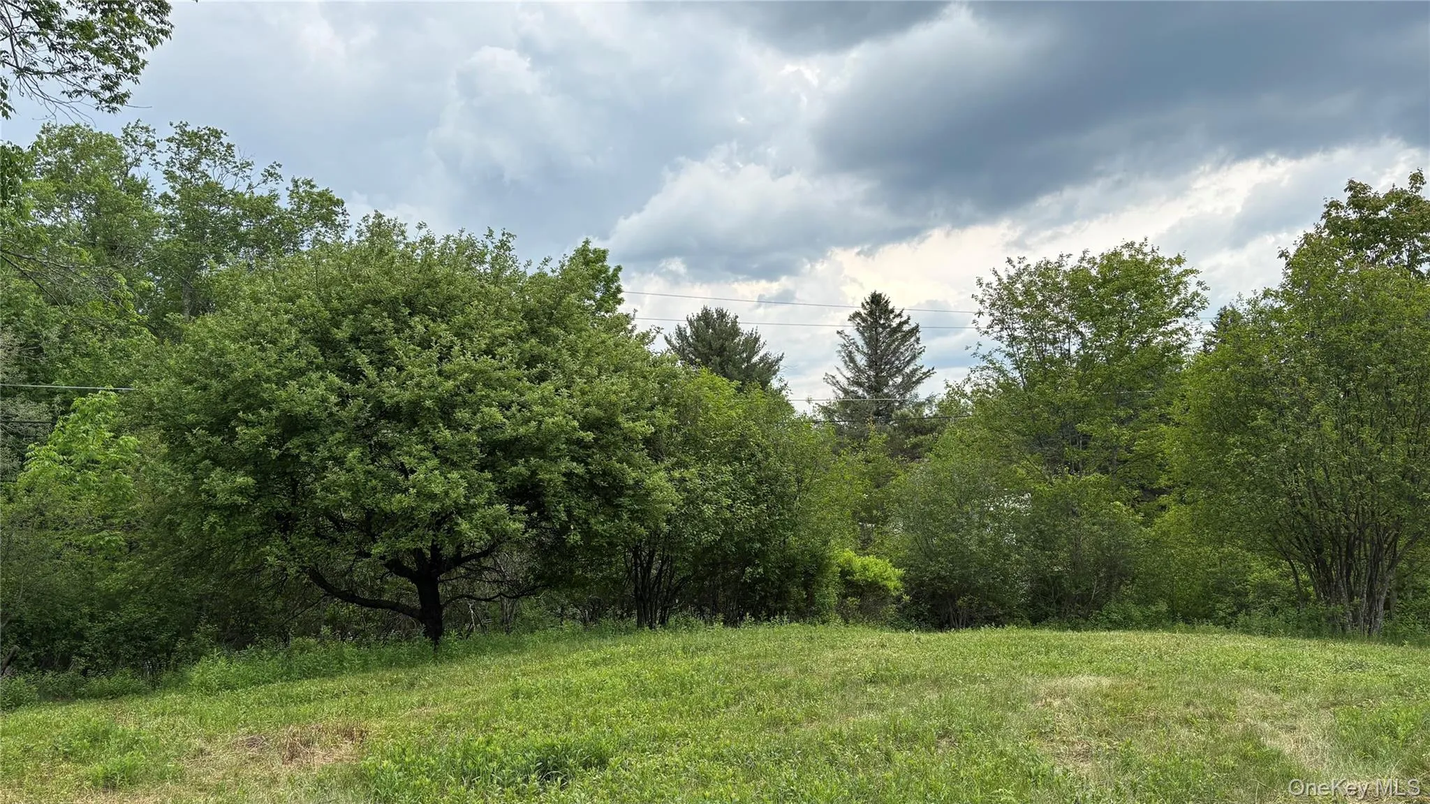 52 Hill Road, Liberty, NY, ,Land,For Rent,Hill,0,999834 52 Hill Road, Liberty, NY, ,Land,For Rent,Hill,0,999834