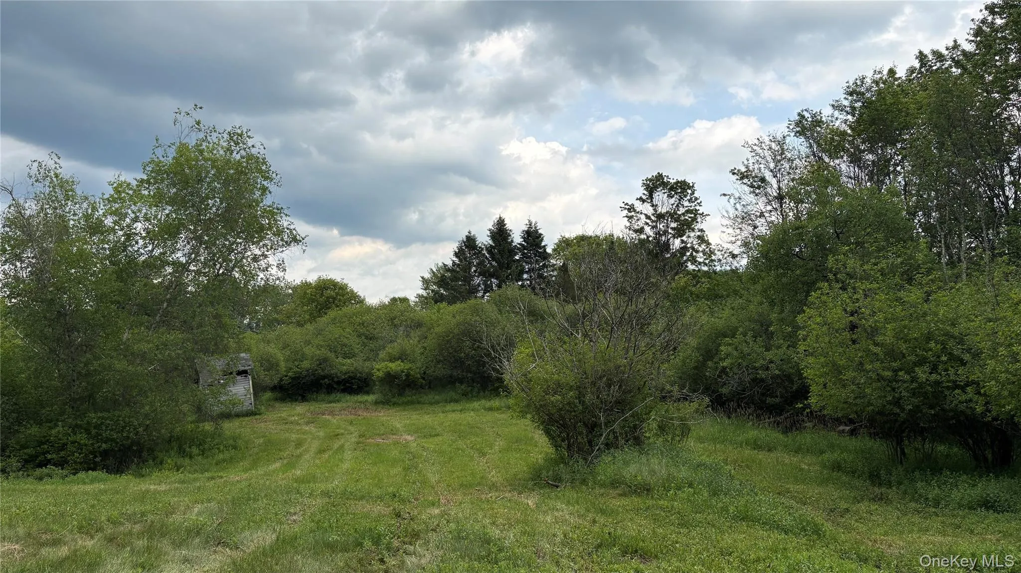 52 Hill Road, Liberty, NY, ,Land,For Rent,Hill,0,999834 52 Hill Road, Liberty, NY, ,Land,For Rent,Hill,0,999834