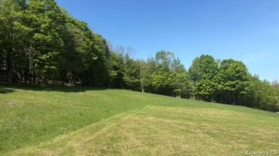 52 Hill Road, Liberty, NY, ,Land,For Rent,Hill,0,999834 52 Hill Road, Liberty, NY, ,Land,For Rent,Hill,0,999834