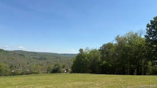 52 Hill Road, Liberty, NY, ,Land,For Rent,Hill,0,999834 52 Hill Road, Liberty, NY, ,Land,For Rent,Hill,0,999834