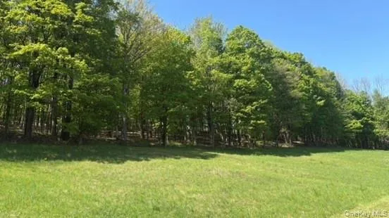 52 Hill Road, Liberty, NY, ,Land,For Rent,Hill,0,999834 52 Hill Road, Liberty, NY, ,Land,For Rent,Hill,0,999834