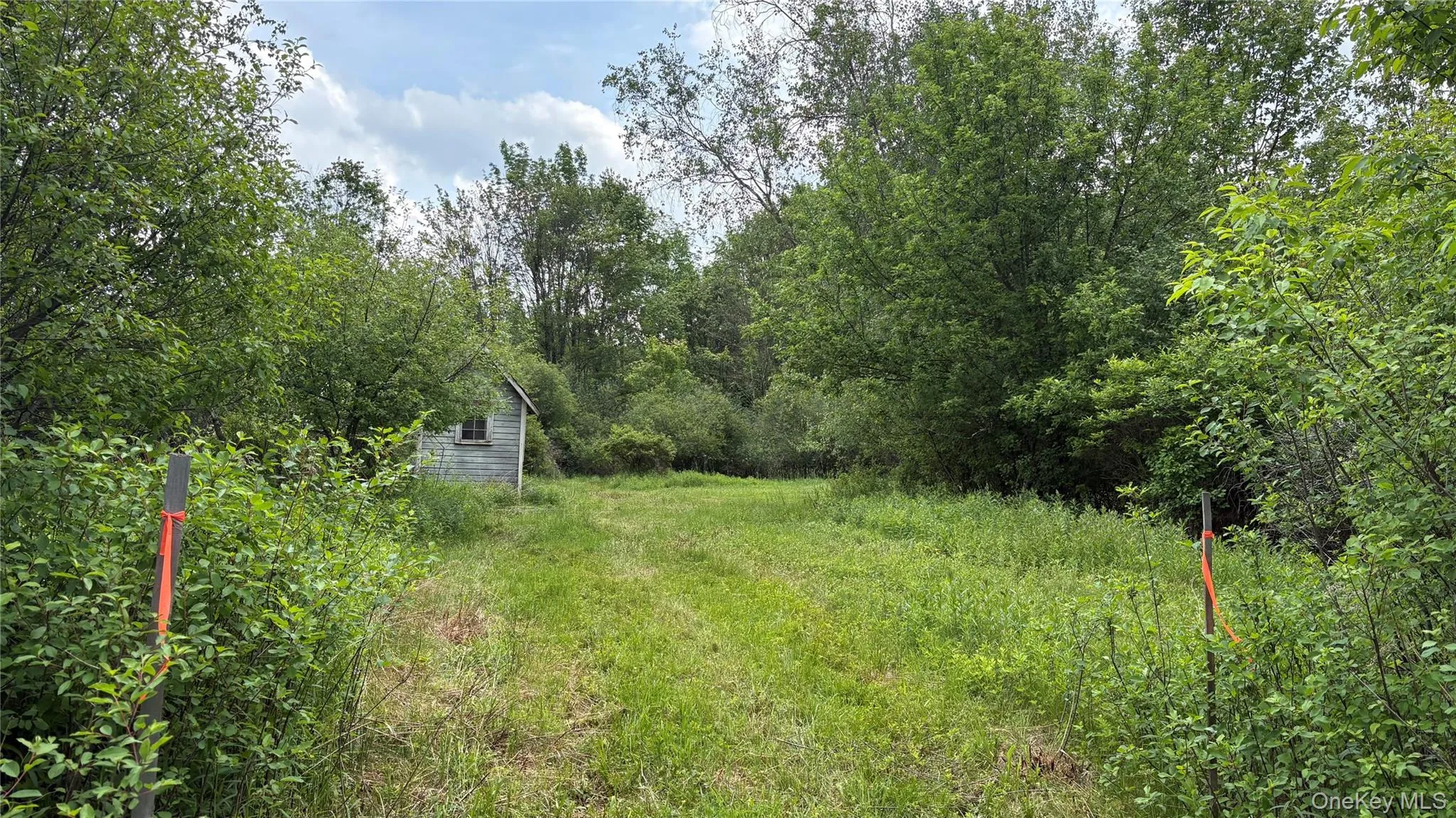 52 Hill Road, Liberty, NY, ,Land,For Rent,Hill,0,999834 52 Hill Road, Liberty, NY, ,Land,For Rent,Hill,0,999834