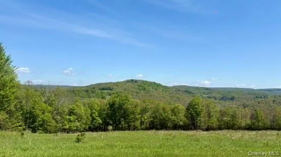 52 Hill Road, Liberty, NY, ,Land,For Rent,Hill,0,999834 52 Hill Road, Liberty, NY, ,Land,For Rent,Hill,0,999834
