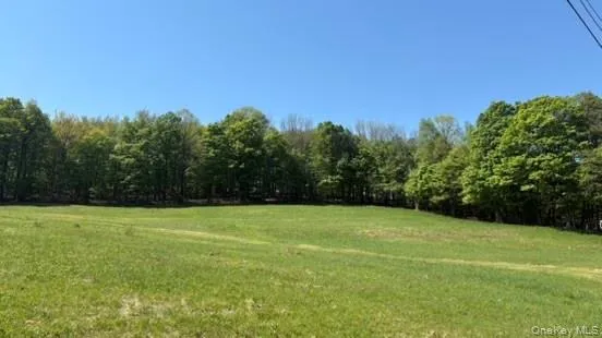 52 Hill Road, Liberty, NY, ,Land,For Rent,Hill,0,999834 52 Hill Road, Liberty, NY, ,Land,For Rent,Hill,0,999834