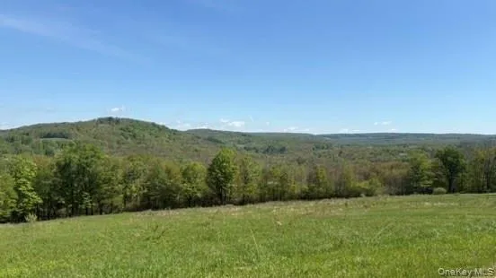 52 Hill Road, Liberty, NY, ,Land,For Rent,Hill,0,999834 52 Hill Road, Liberty, NY, ,Land,For Rent,Hill,0,999834