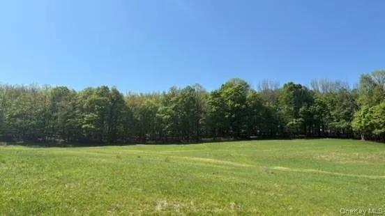 52 Hill Road, Liberty, NY, ,Land,For Rent,Hill,0,999834 52 Hill Road, Liberty, NY, ,Land,For Rent,Hill,0,999834