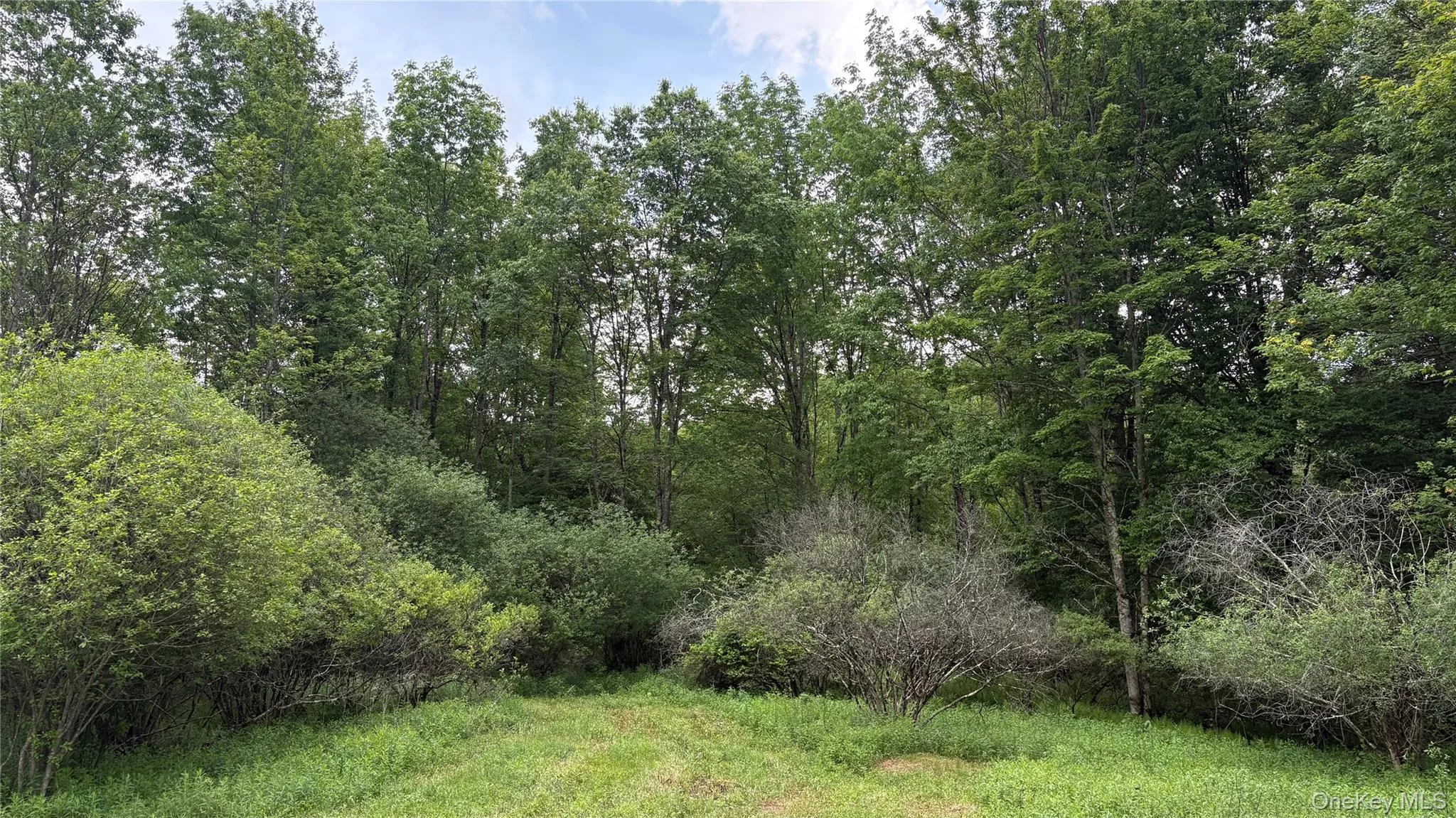 52 Hill Road, Liberty, NY, ,Land,For Rent,Hill,0,999834 52 Hill Road, Liberty, NY, ,Land,For Rent,Hill,0,999834