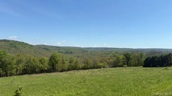 52 Hill Road, Liberty, NY, ,Land,For Rent,Hill,0,999834 52 Hill Road, Liberty, NY, ,Land,For Rent,Hill,0,999834