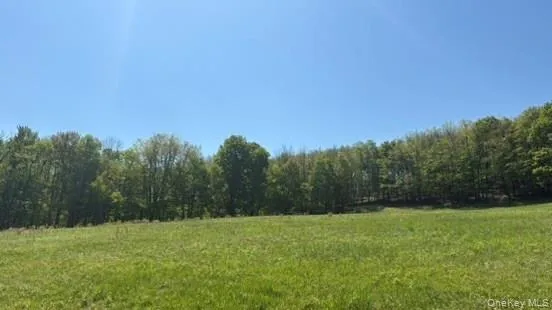 52 Hill Road, Liberty, NY, ,Land,For Rent,Hill,0,999834 52 Hill Road, Liberty, NY, ,Land,For Rent,Hill,0,999834
