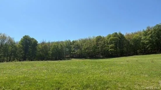 52 Hill Road, Liberty, NY, ,Land,For Rent,Hill,0,999834 52 Hill Road, Liberty, NY, ,Land,For Rent,Hill,0,999834